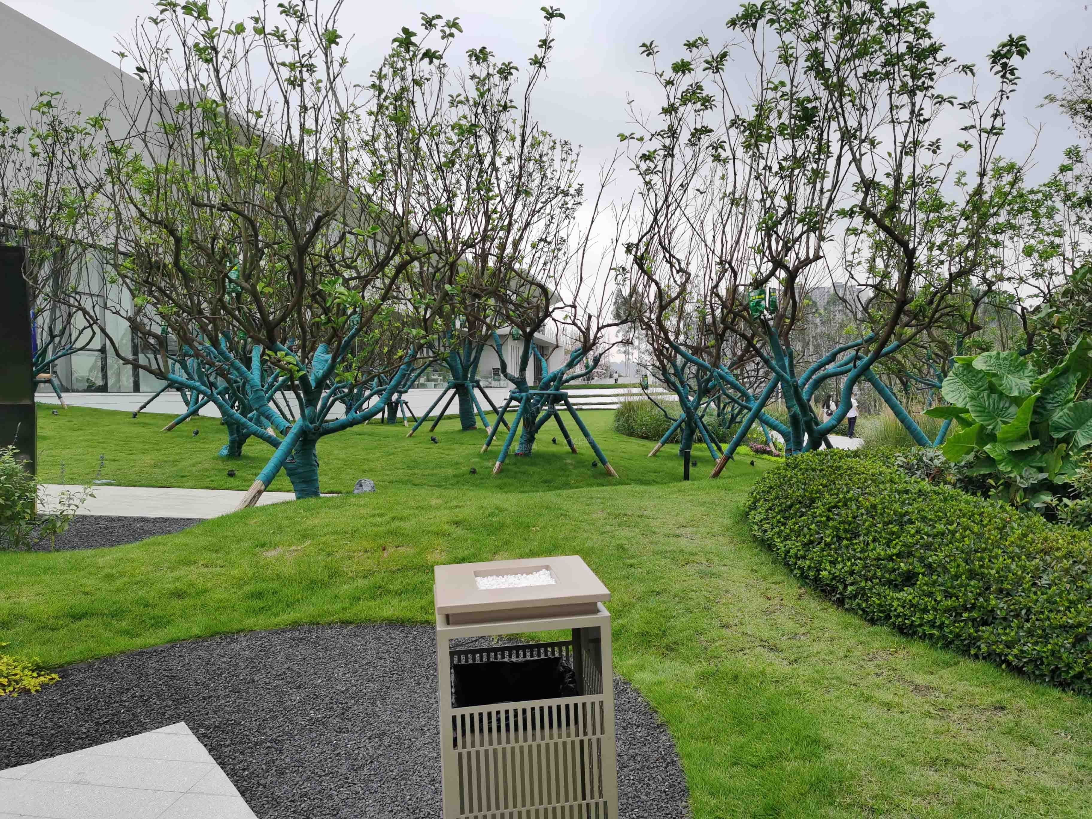 滨江郦城