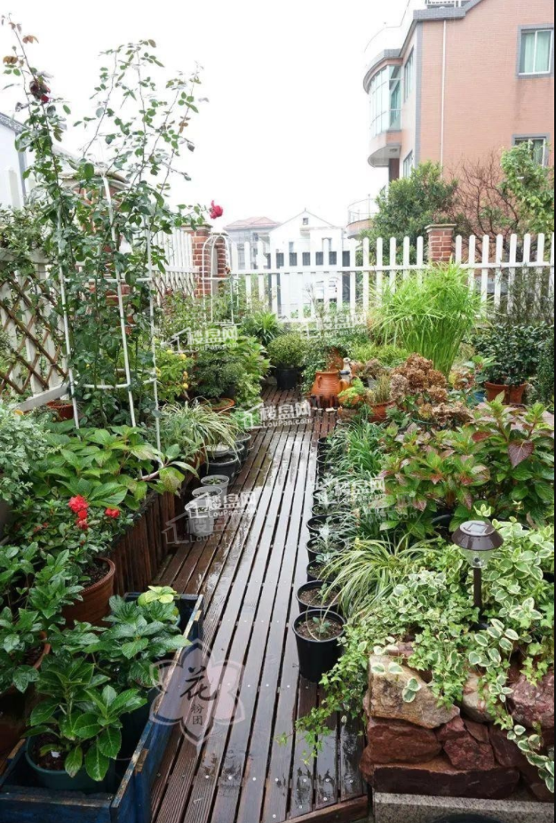 单价8000-10000的性价比楼盘哪个好？想买就来看！