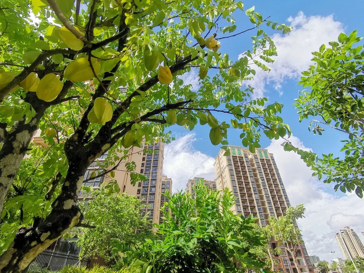 四季康城四期水岸城邦实景图