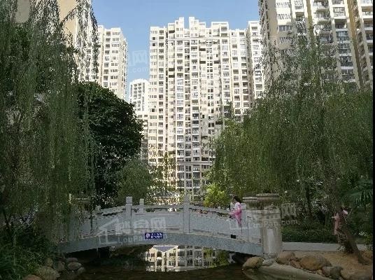 园林实景