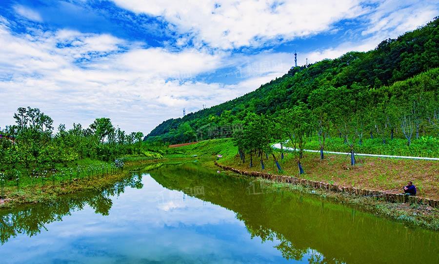 项目旁泥溪口湿地公园