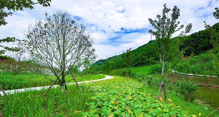 项目旁泥溪口湿地公园