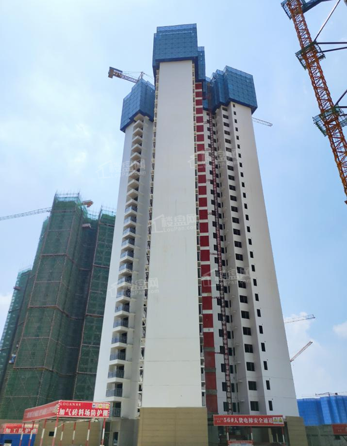 龙光玖誉城锦城56#楼正在落架（摄于2021-6）