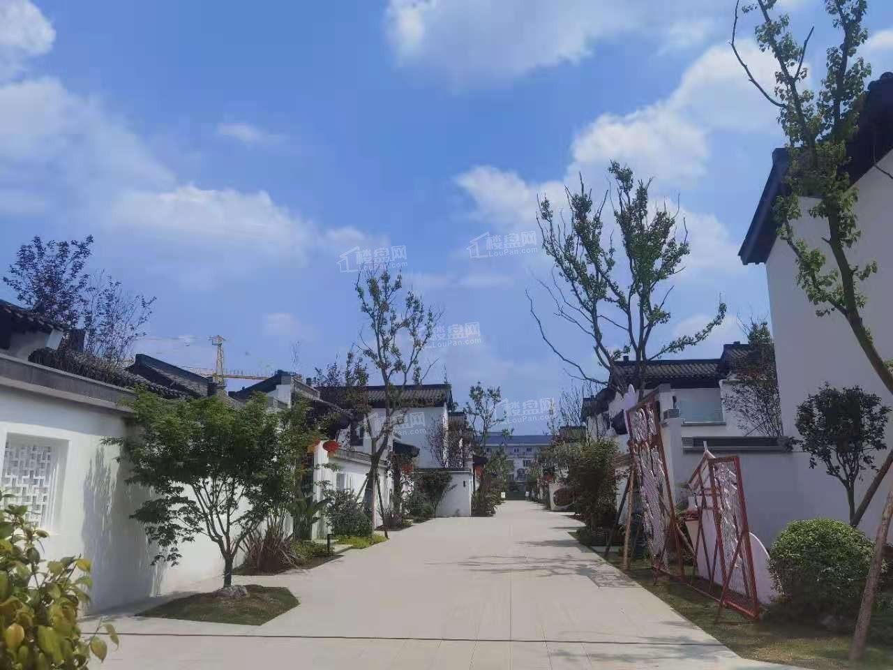 成都院坝