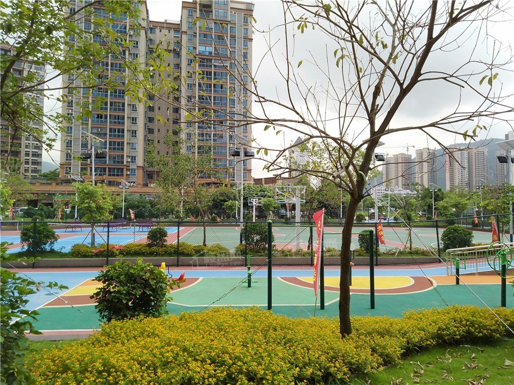 肇庆天玺御璟效果图