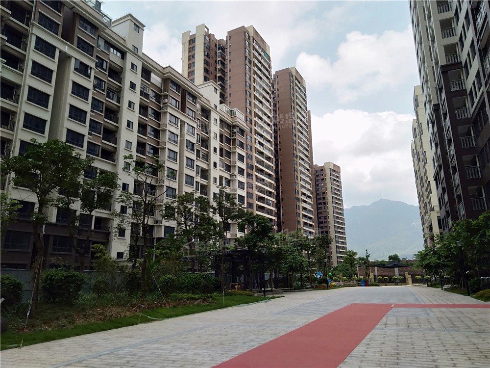 肇庆天玺御璟效果图