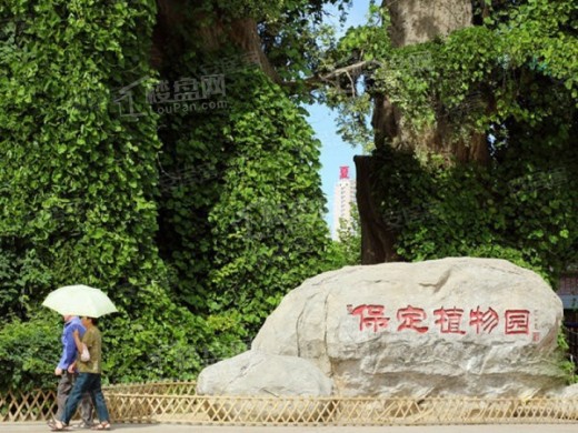 京能濮园实景图