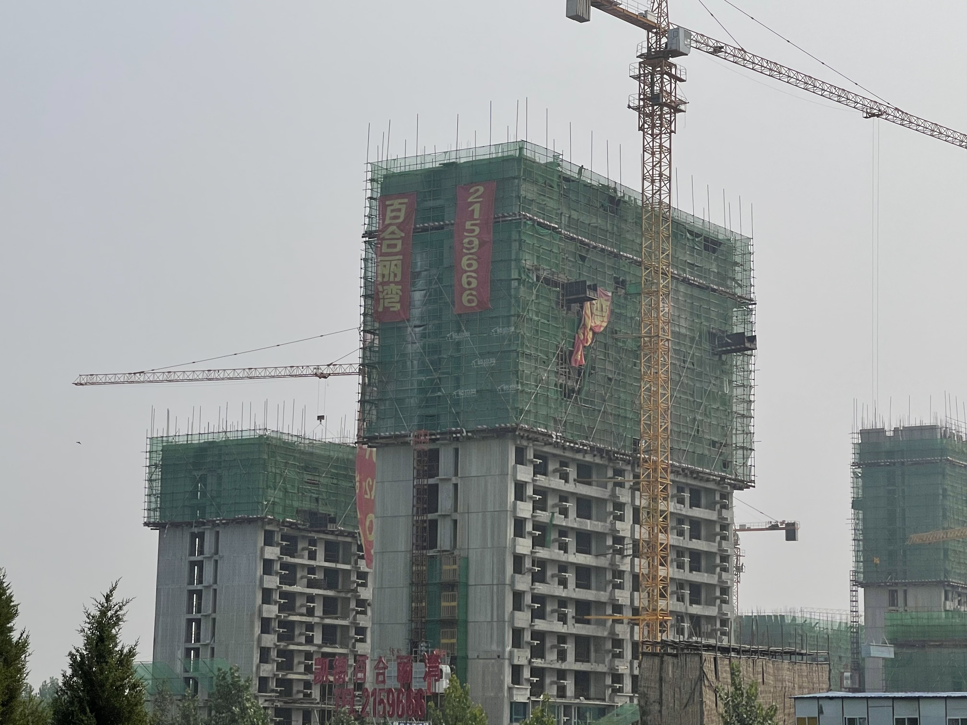 任丘凯德百合丽湾相册_实景图-任丘楼盘网