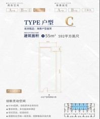 珠江国际金融中心C户型图