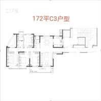 172平C3户型