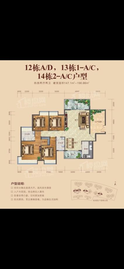 12栋A、D，12栋A、C，14栋A、C户型