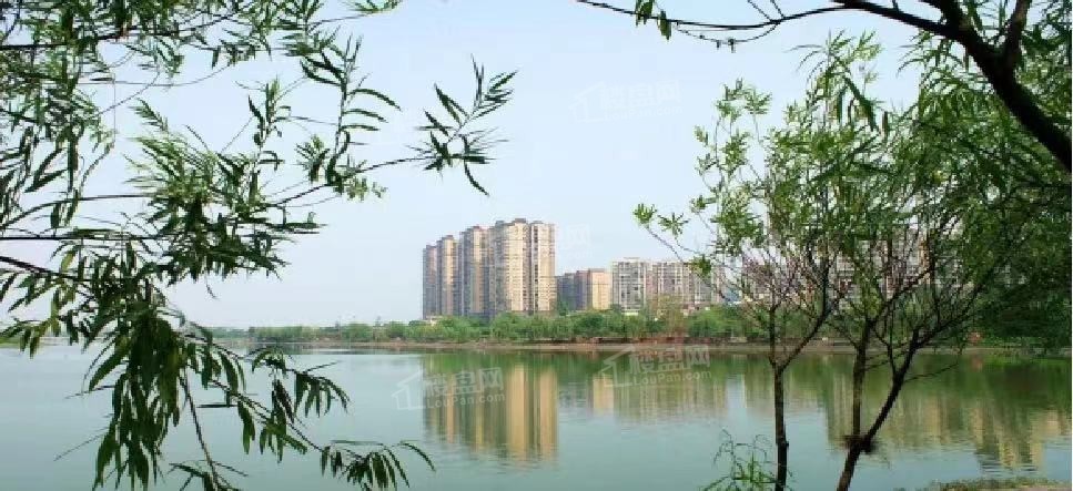 峨眉山市楼盘>东部新区楼盘>                         东城丽景新房
