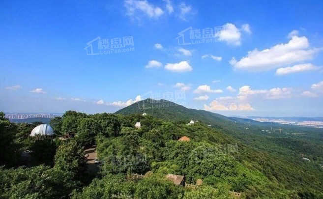 南京樾山林语效果图_实景图_样板间-南京楼盘网