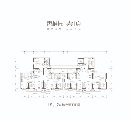 1/2号楼楼层平面图