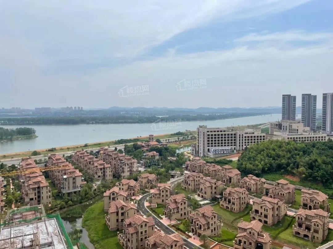 湘潭金奥湘江公馆效果图_实景图_样板间-湘潭楼盘网