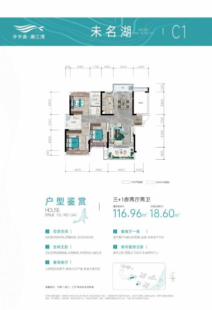 湘江湾山水城C1户型图