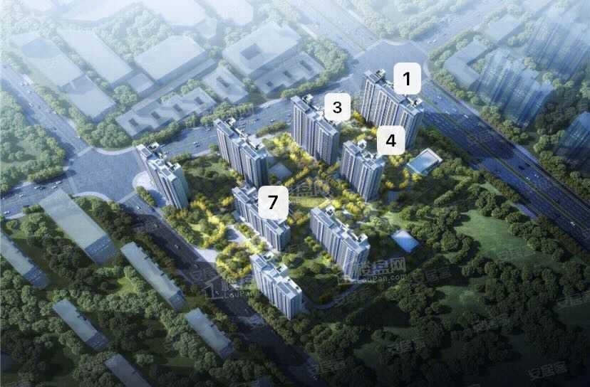 实景图