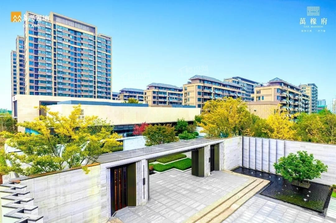 新站区华润万橡府楼盘怎么样?能买吗?-合肥楼盘网