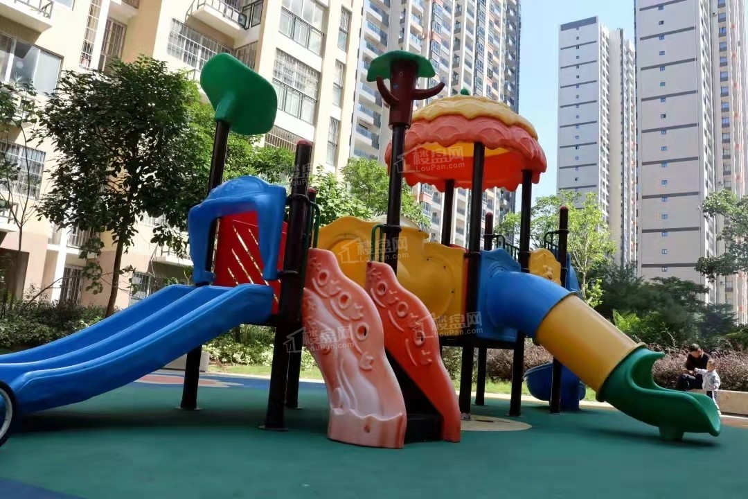 项目实景图