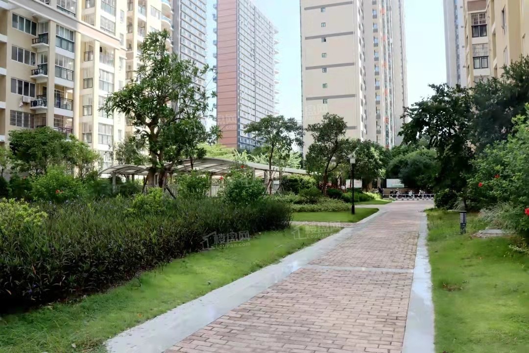项目实景图
