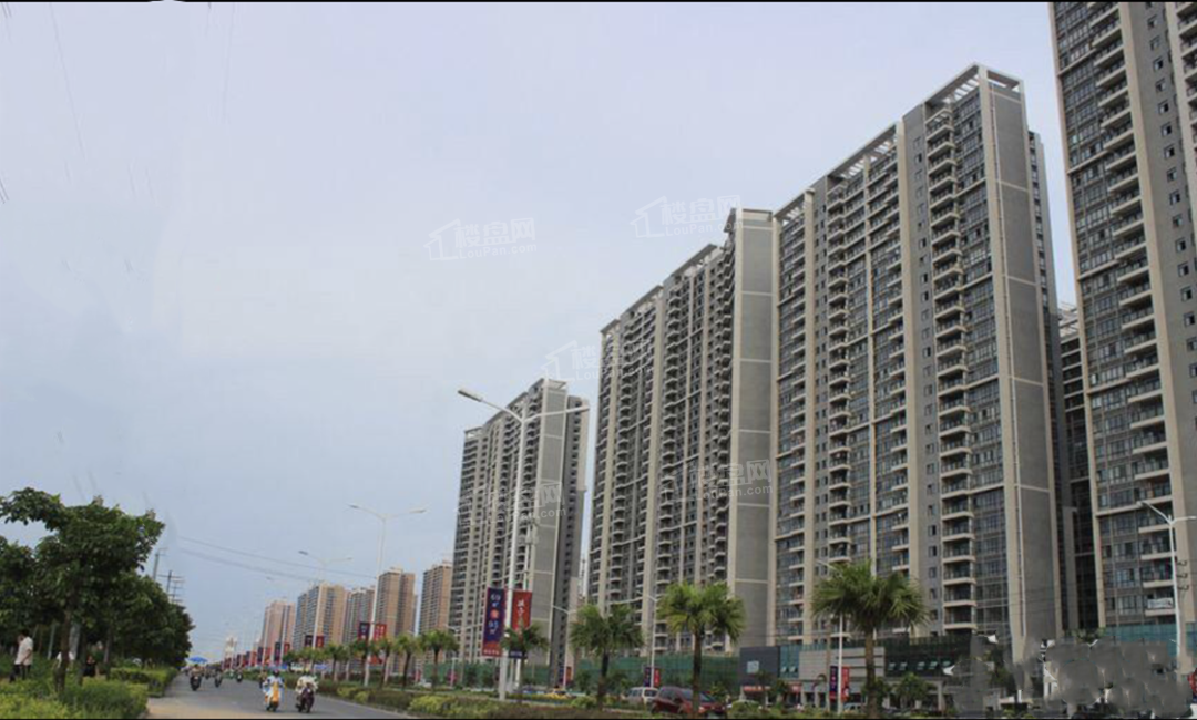 项目实景图
