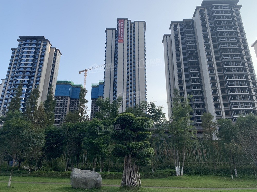 乐山碧桂园·青江府效果图_实景图_样板间-乐山楼盘网