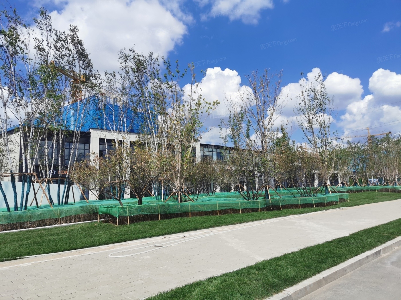 长春保利阅云台相册_实景图-长春楼盘网