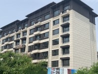 在建洋房近景实拍图