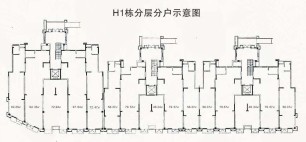 金浦御龙湾H1栋商铺户型图