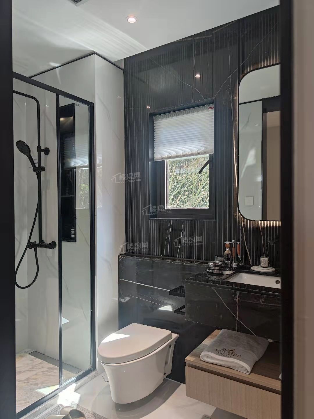 越秀悦映湖山效果图