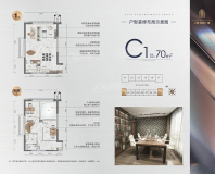 C1户型 建面70㎡ 2房2厅2卫