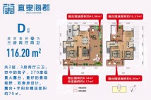 叠院D户型 3房2厅2卫1厨 116.20㎡