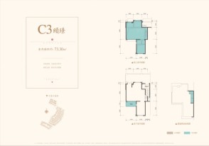 藏品院墅C3户型