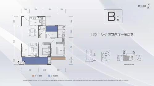 B户型 116平