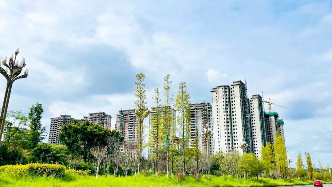 鸿通·公园1988天著