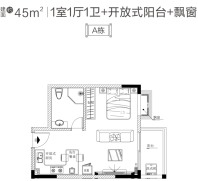 A栋45㎡ 1房1厅1户1卫