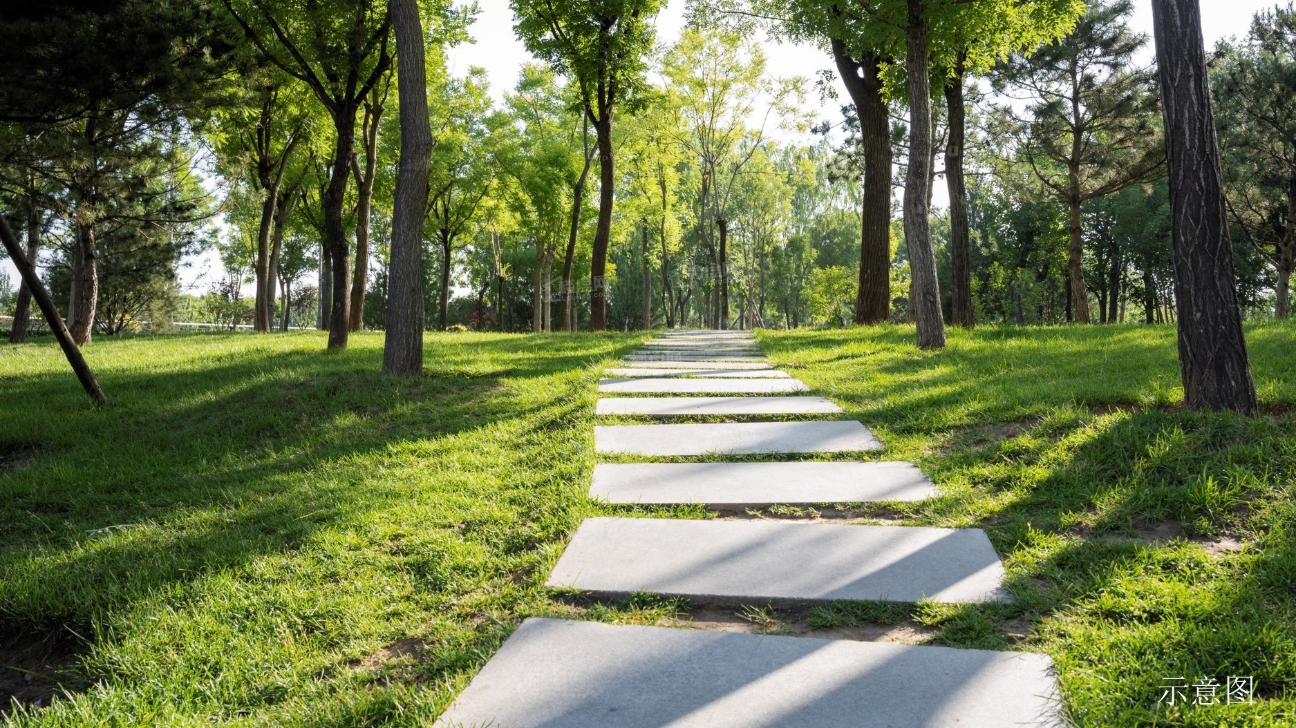 市政绿地公园(规划中)