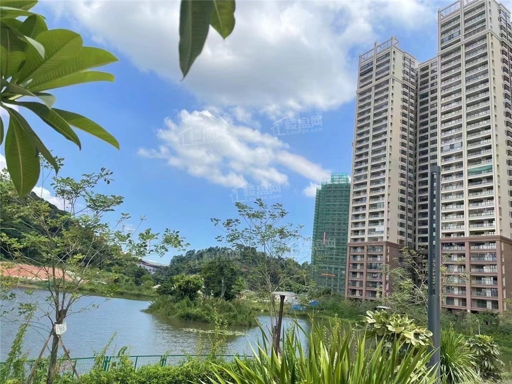肇庆新房 四会市楼盘 > 绿茵九龙湾
