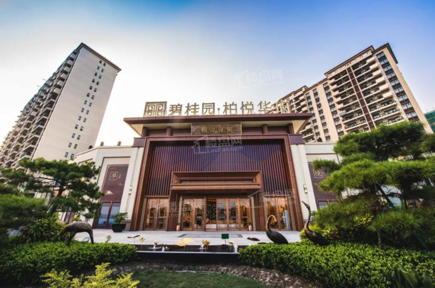效果图