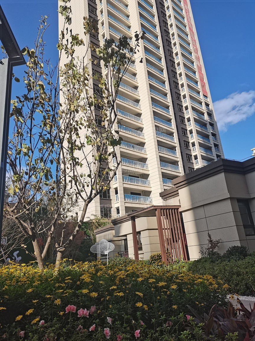 单价5000-6000的良心盘在哪儿？这些好房等你来看！