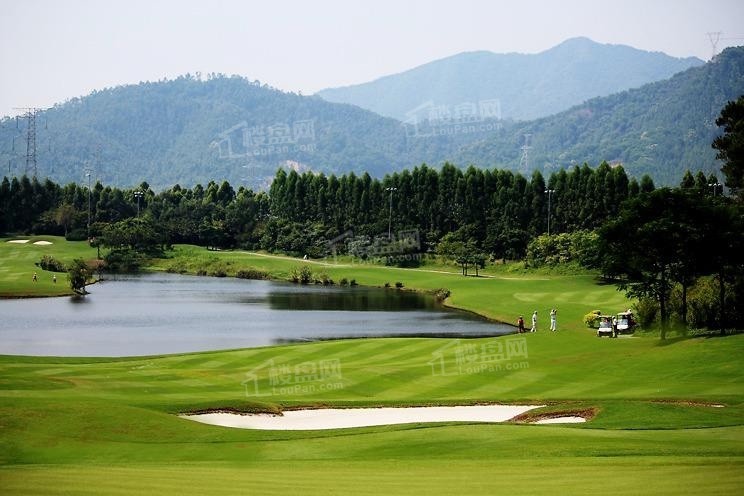 广州荔湖高尔夫球会图片