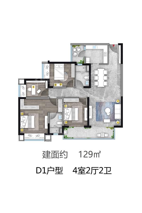 D1户型