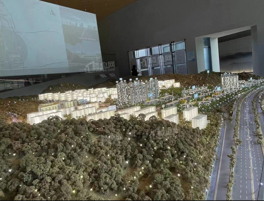 万科森林公园实景图