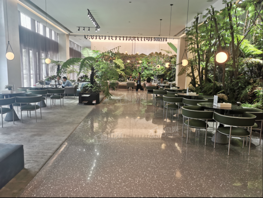 万科森林公园实景图