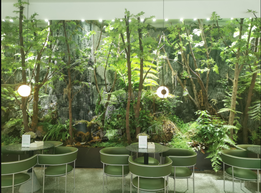 万科森林公园实景图