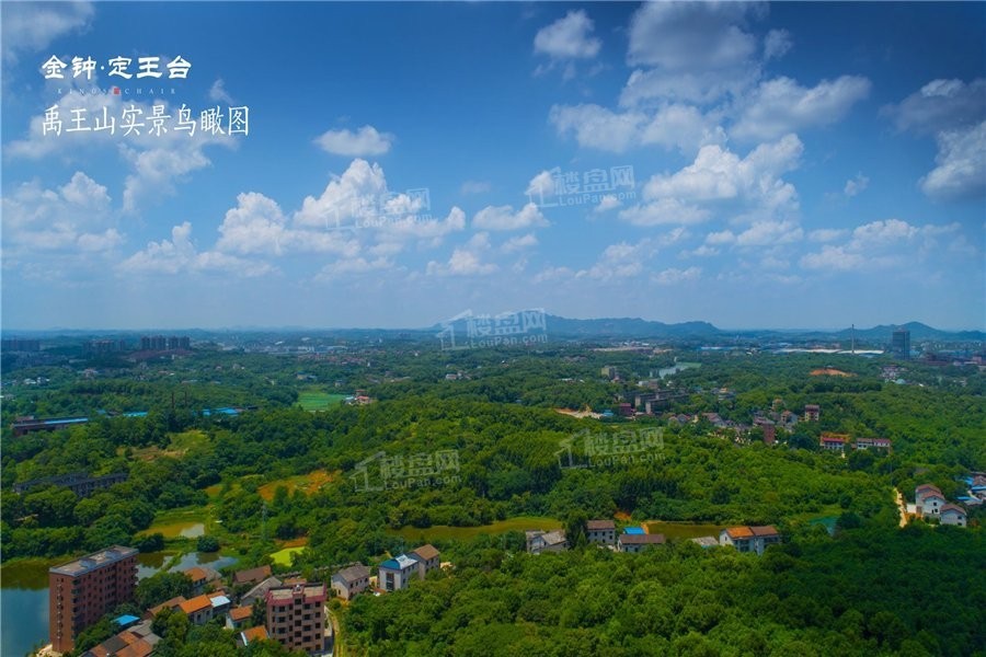金钟·定王台配套图