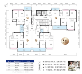 5期一区5栋