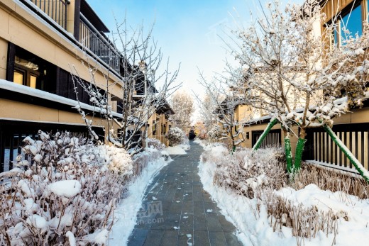 江山宸院实景图