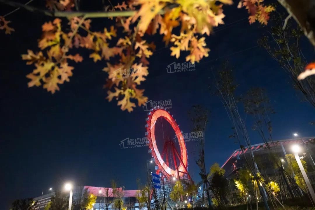 蓉江新区街区式文化娱乐购物公园示范区