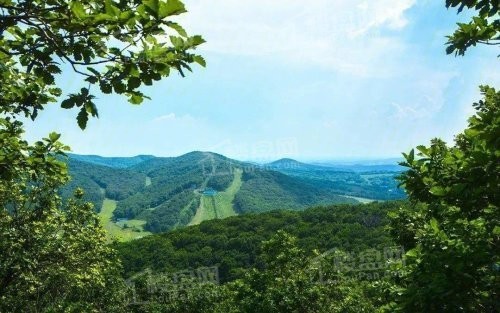 力旺林溪湖配套图